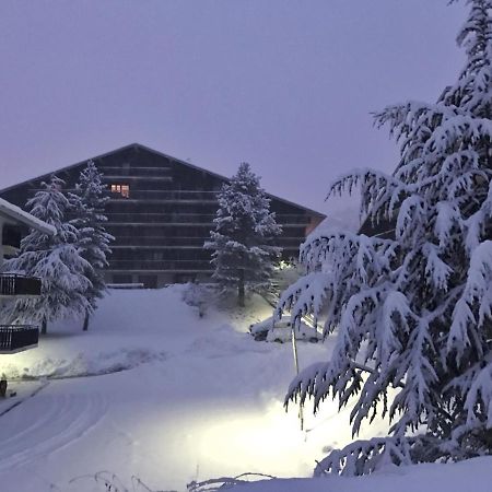Auron Montain View Διαμέρισμα Εξωτερικό φωτογραφία